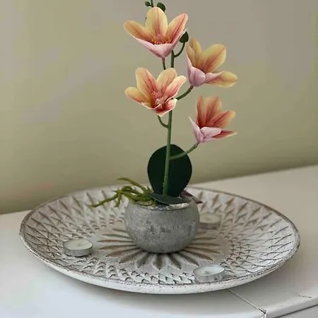 Apartamento Arturo Duo Appartamento